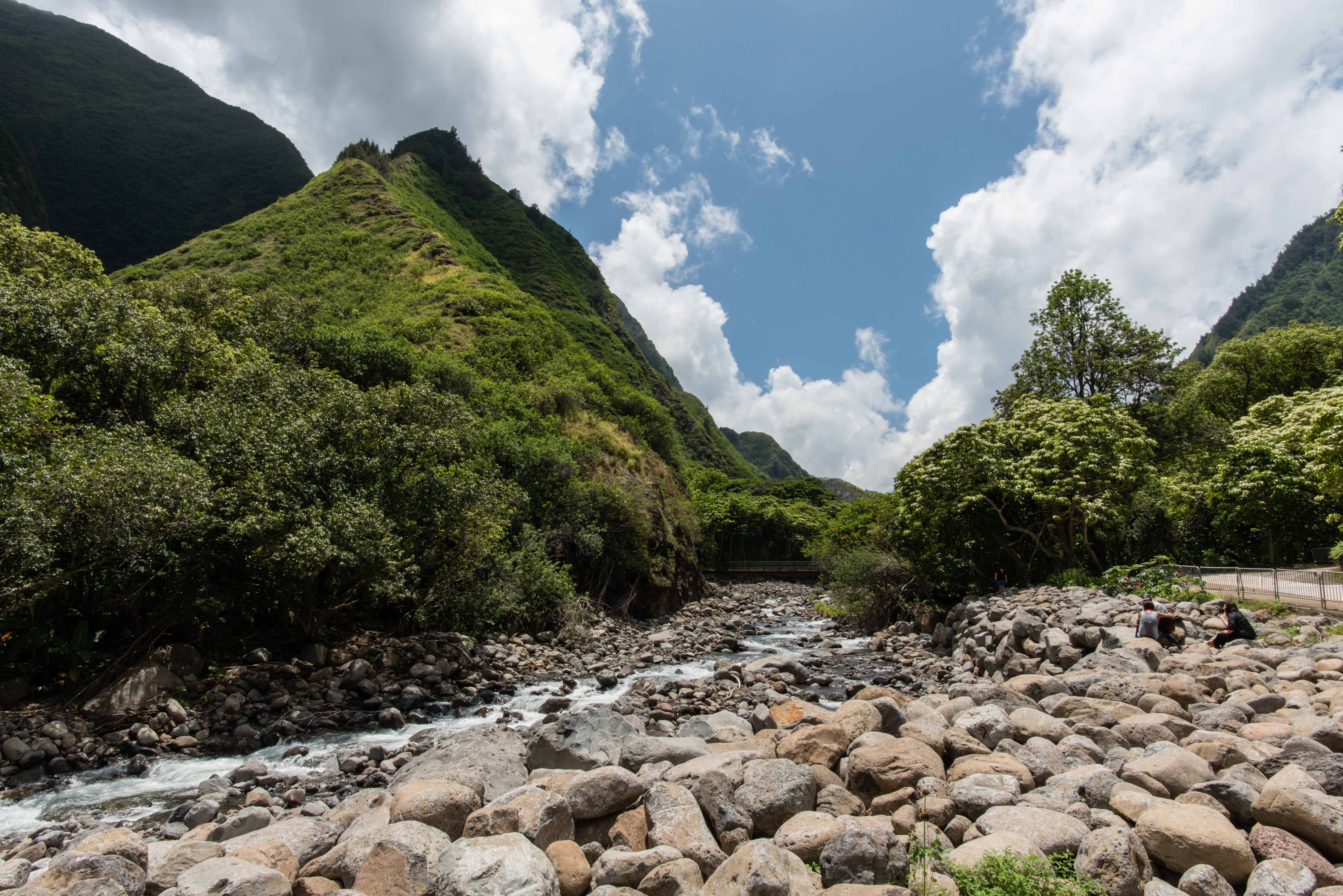 Iao Valley State Park Image