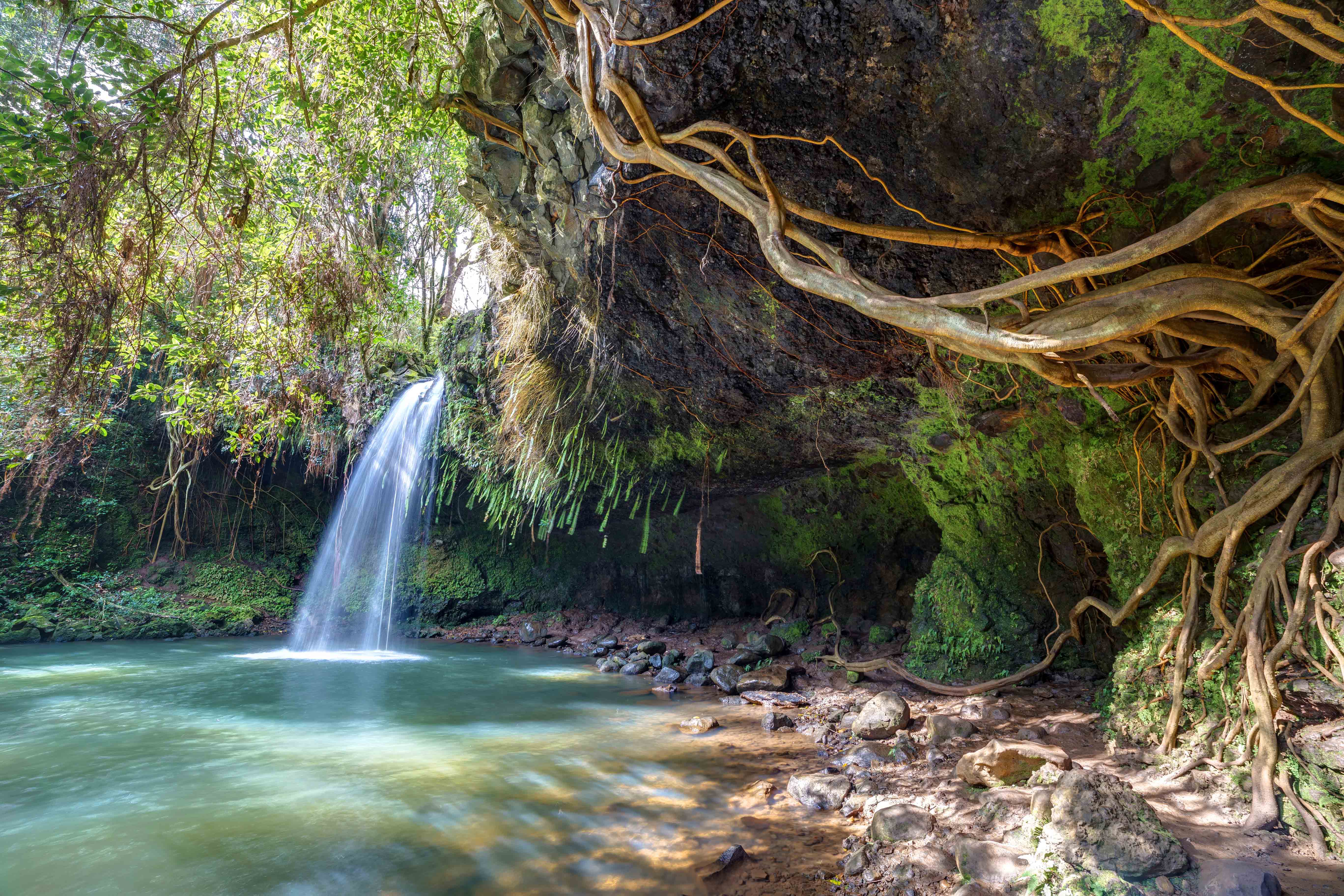 Waterfall and pool in Twin Falls on Maui