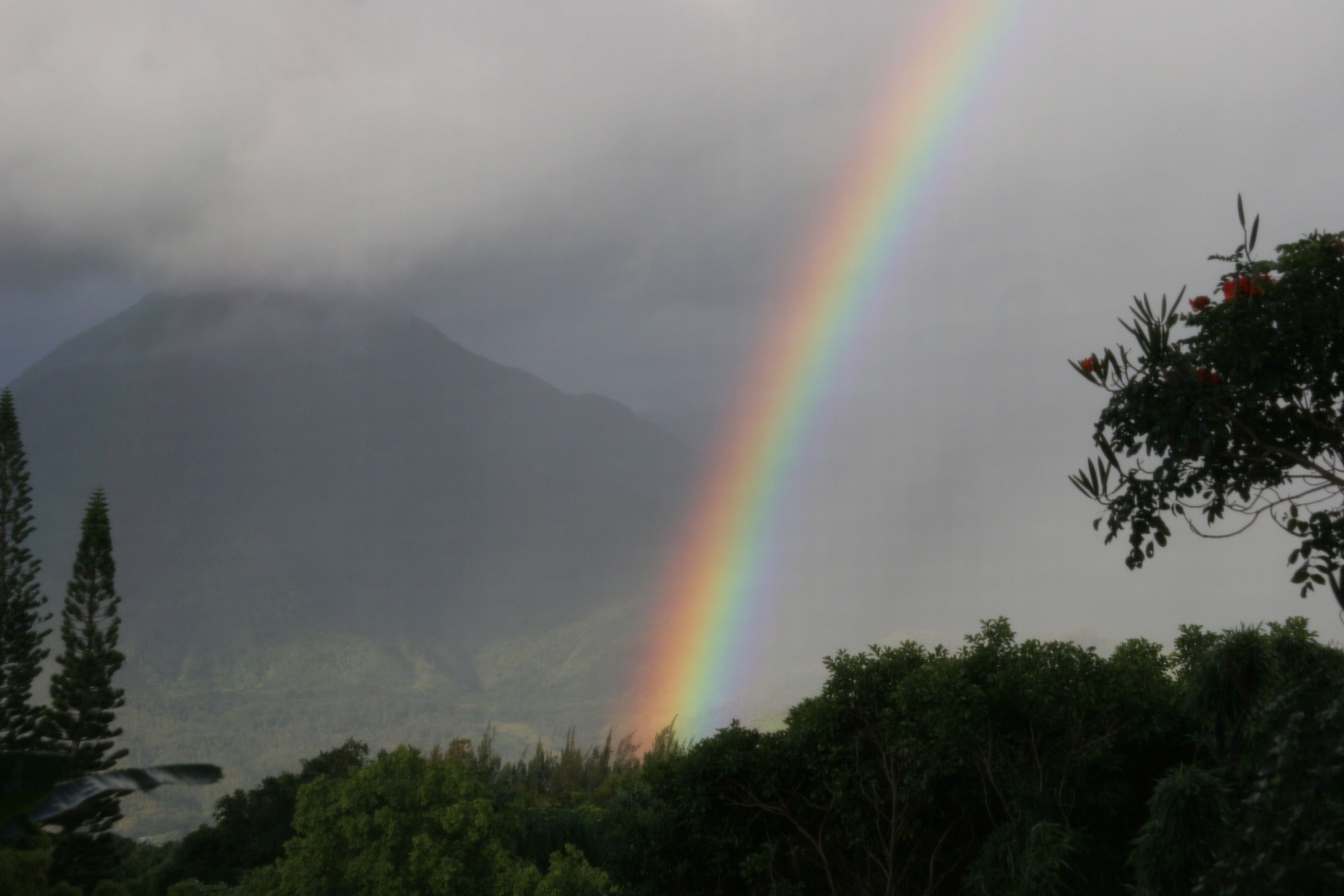 Hawiian rainbow in Kauai